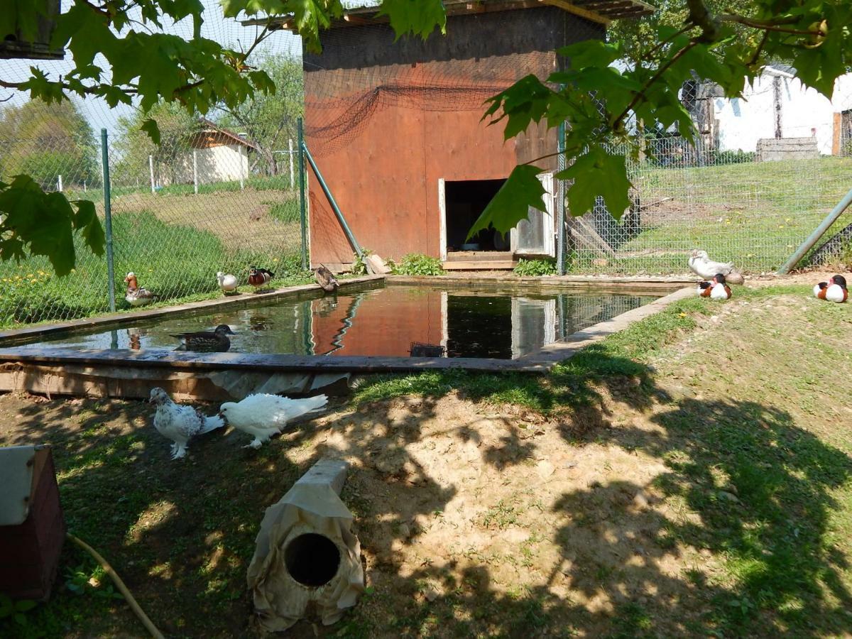 Pokoje Gościnne Ostoja Mirsk Zewnętrze zdjęcie